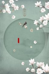 深入了解 芒果视频污污版